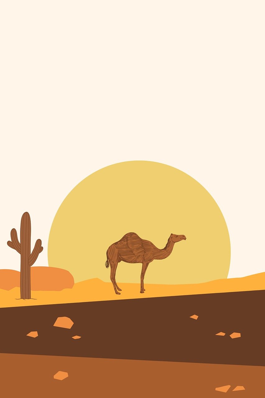 Lone